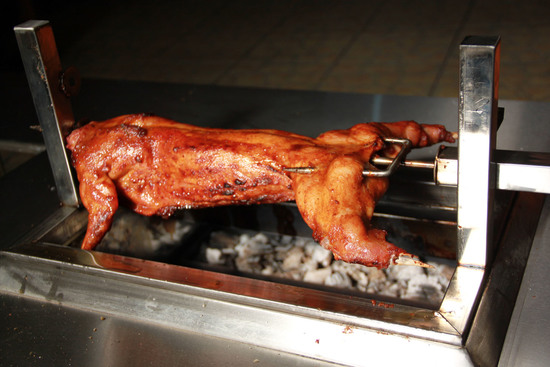 东乌珠穆沁摇滚烤兔培训哪家好